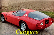 canguro05